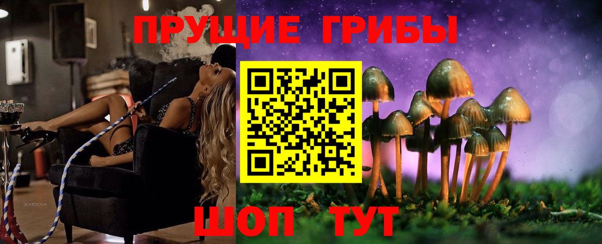 Галлюциногенные грибы GOLDEN TEACHER Коломна
